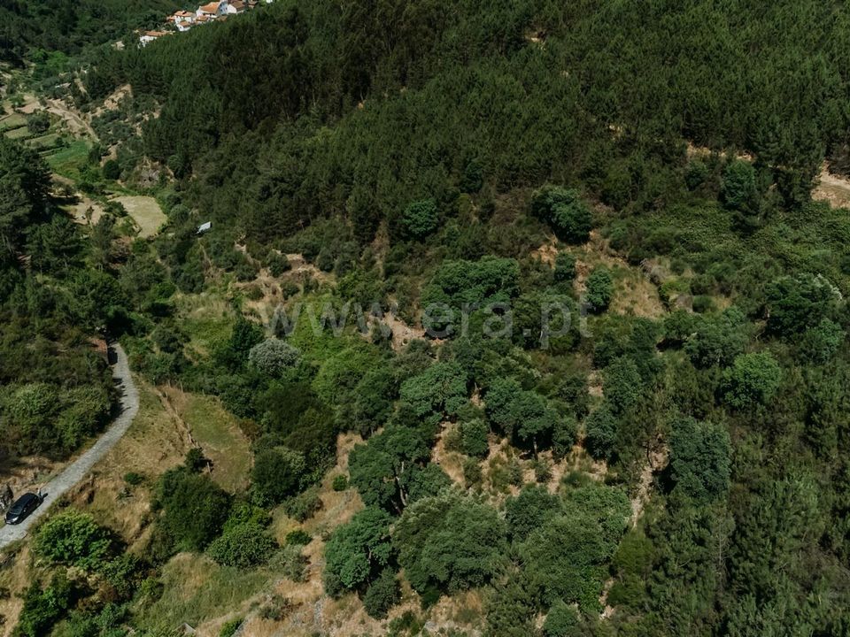 Helårsgrund i Fundao, Castelo Branco - foto 5