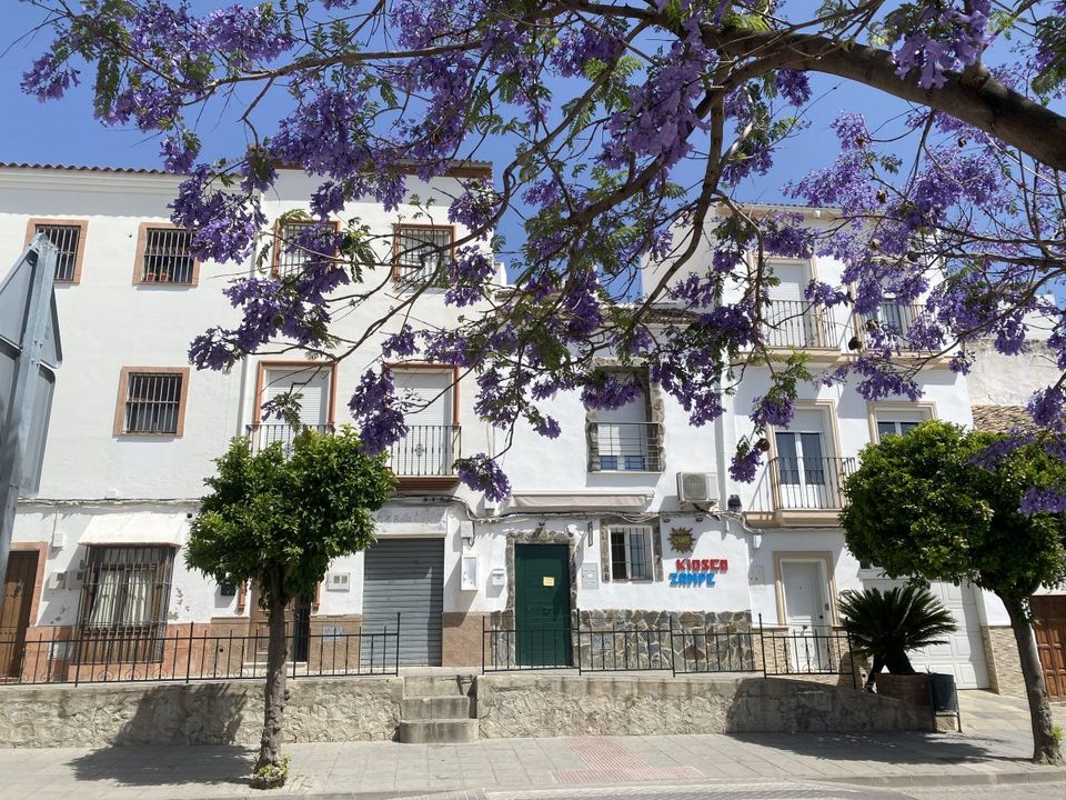 Næringseiendom i Olvera, Cadiz - bilde 1