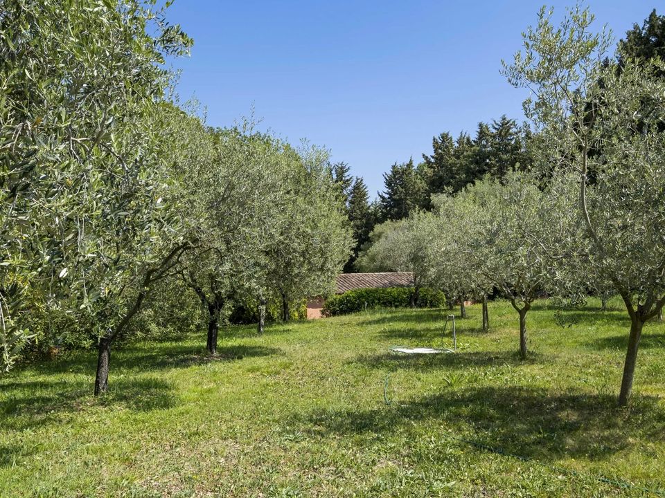 Villa i Mougins, Alpes-Maritimes - foto 5