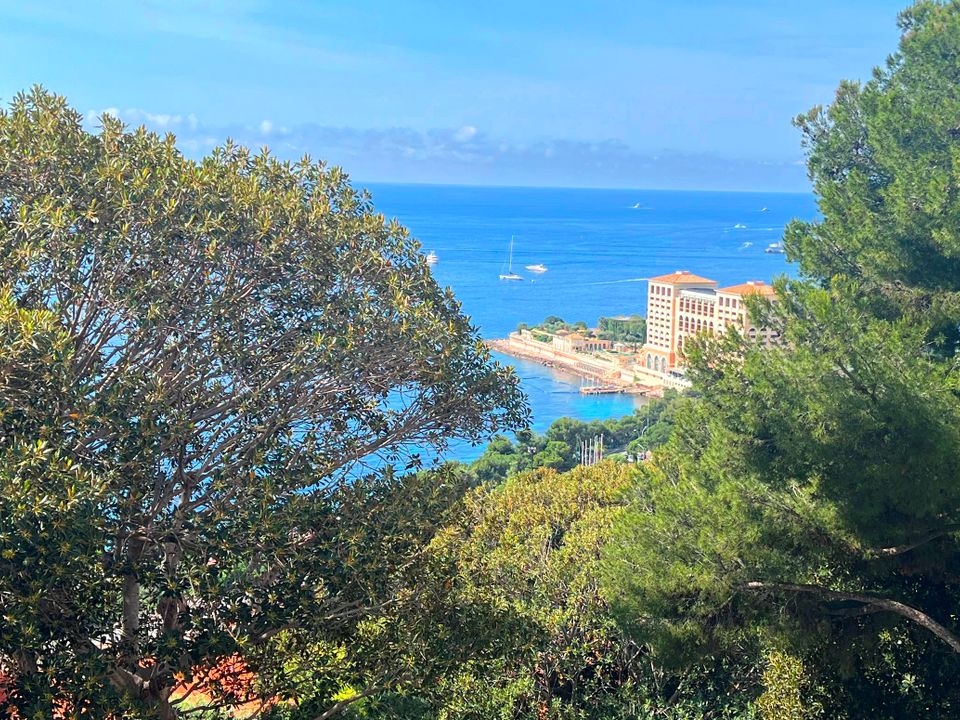 Lejlighed i Roquebrune-Cap-Martin, Alpes-Maritimes - foto 3