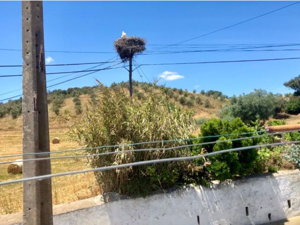 Villa i Odemira, Beja - foto 4