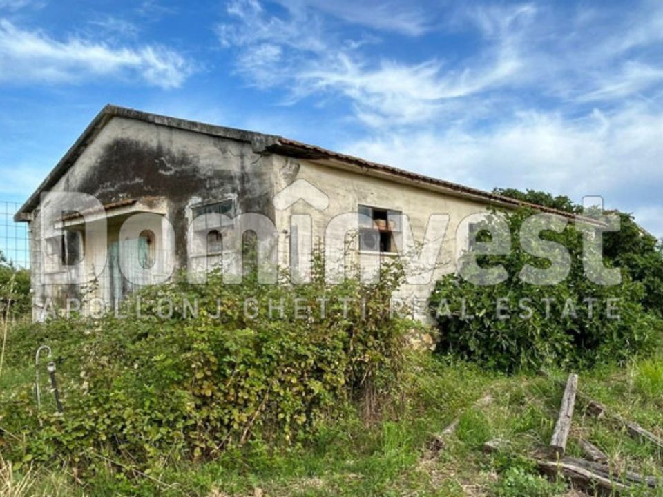 Landejendom i Capalbio, Grosseto - foto 5