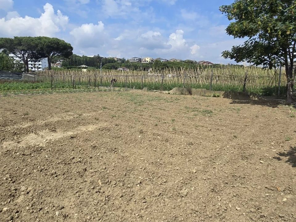 Tomt i Citta Sant'Angelo, Pescara - bilde 1