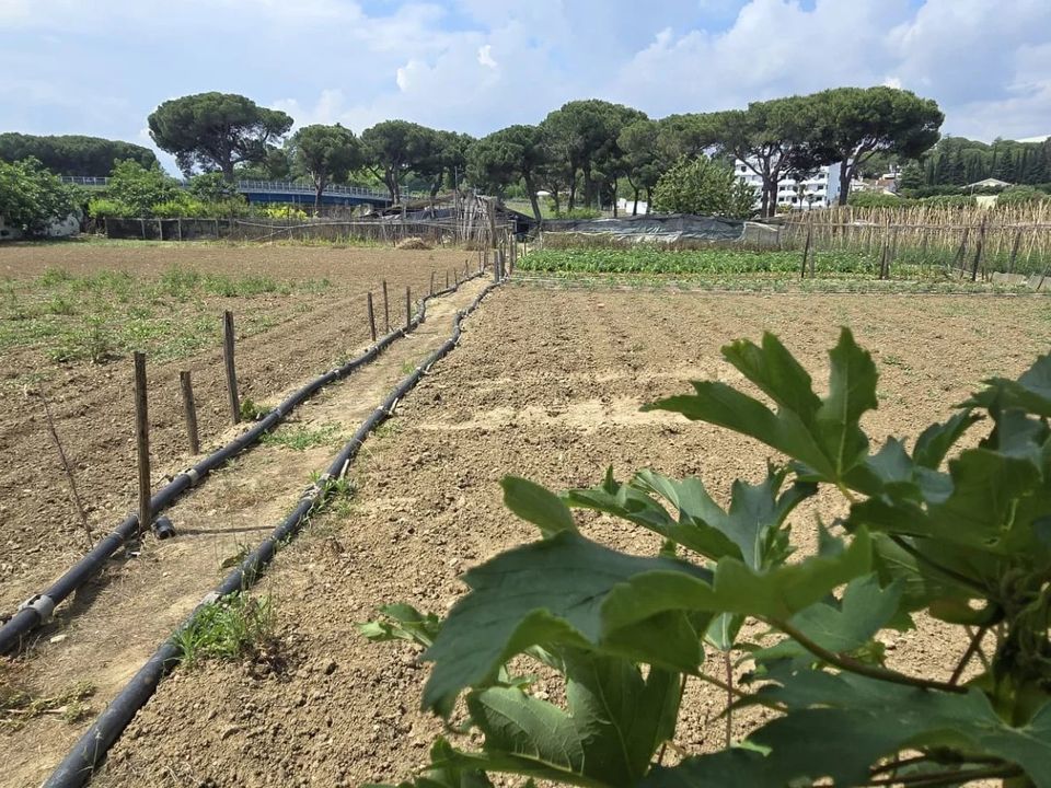 Tomt i Citta Sant'Angelo, Pescara - bilde 2