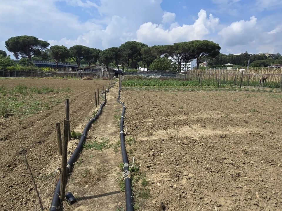 Tomt i Citta Sant'Angelo, Pescara - bilde 3