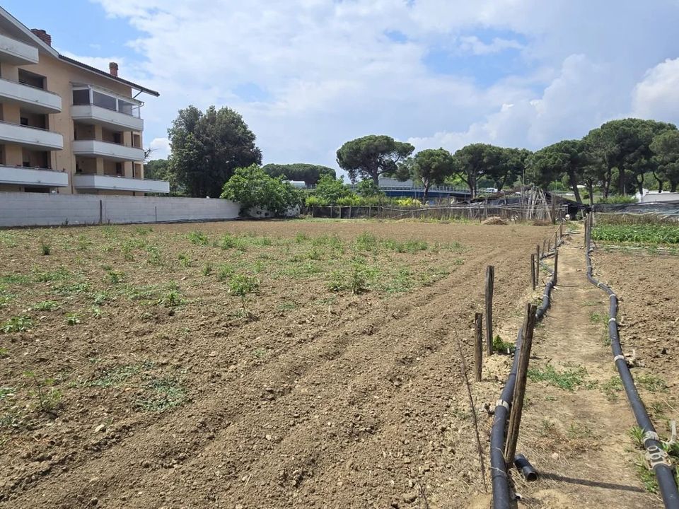 Tomt i Citta Sant'Angelo, Pescara - bilde 5