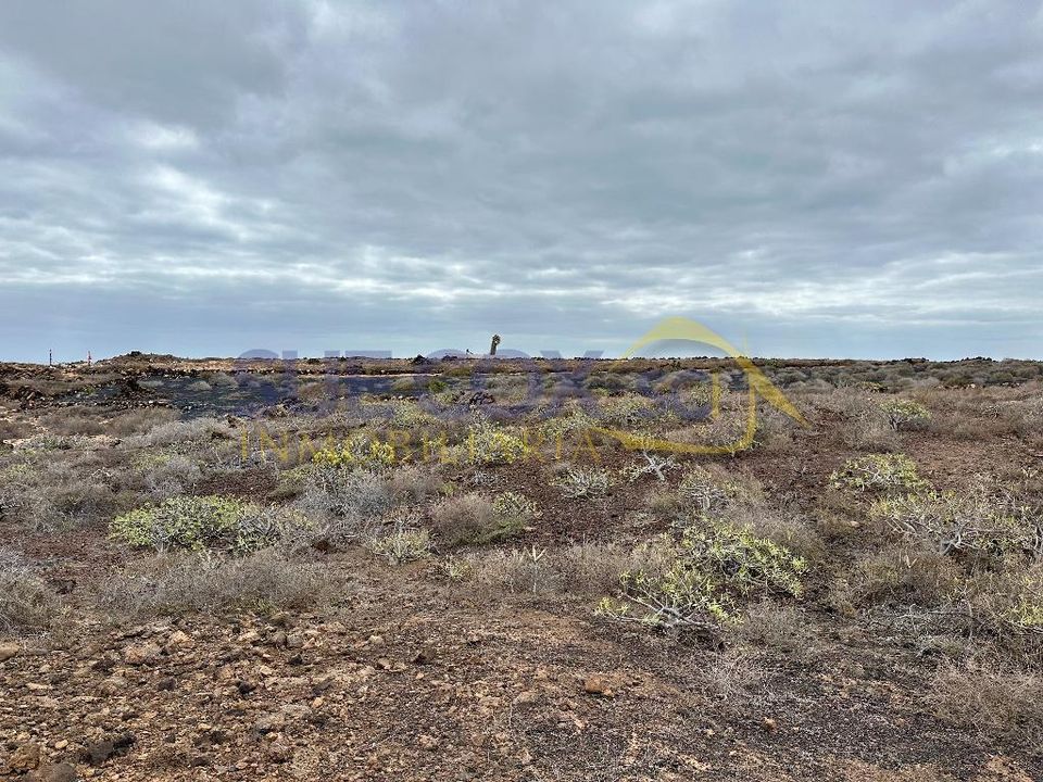 Land in Mala, Lanzarote - photo 5
