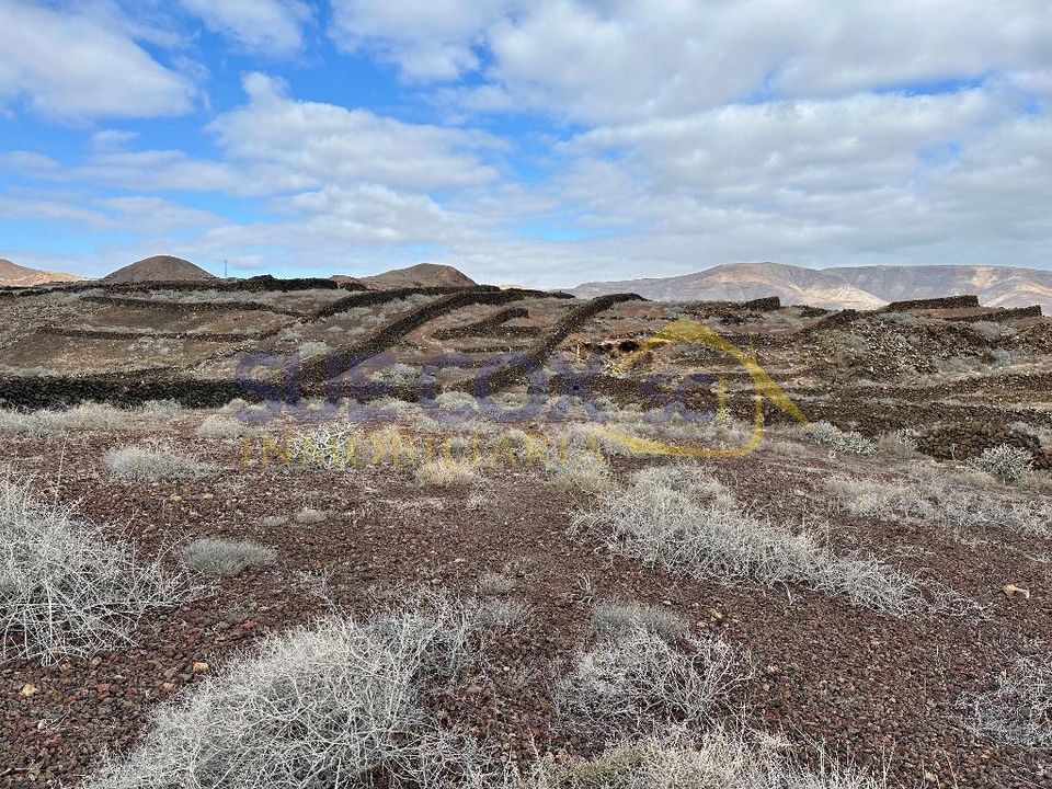 Tomt i Charco del Palo, Lanzarote - bilde 5
