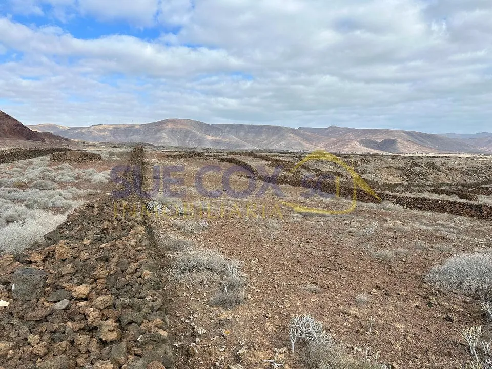 Tomt i Charco del Palo, Lanzarote - bilde 4