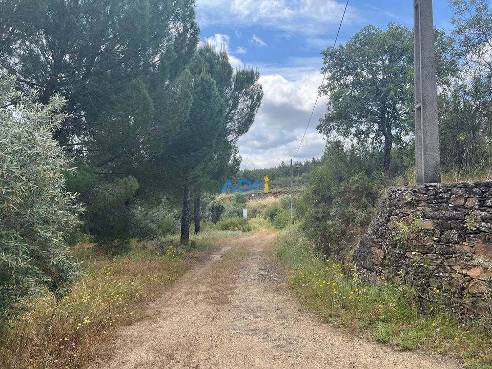 Villa en Fratel, Castelo Branco - foto 3