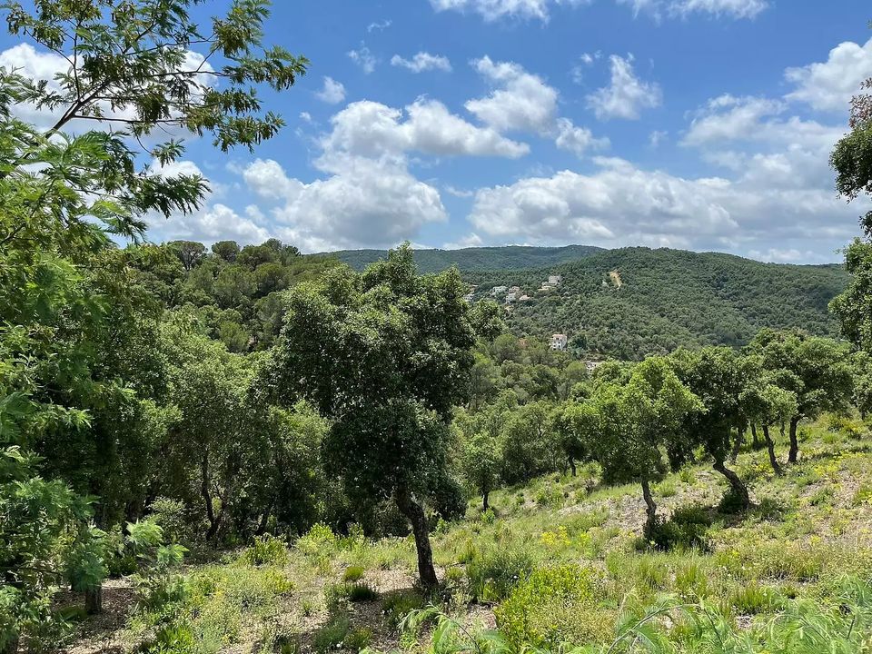 Grundstück in Calonge, Gerona - Foto 1