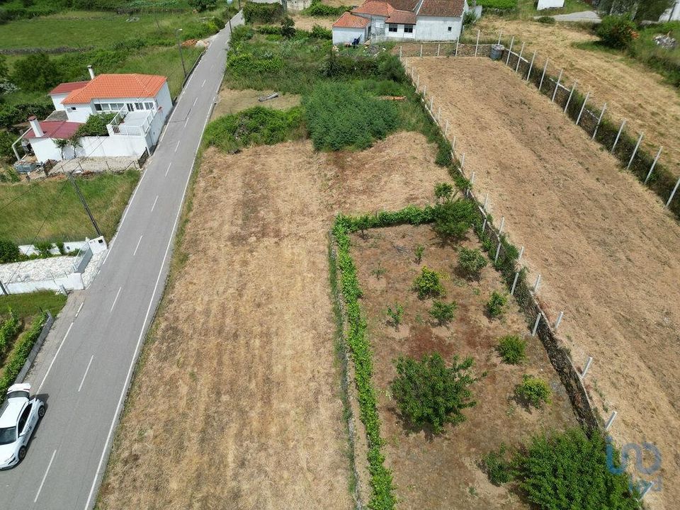 Helårsgrund i Miranda do Corvo, Coimbra - foto 5