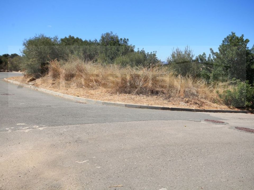 Helårsgrund i Algoz, Faro - foto 3