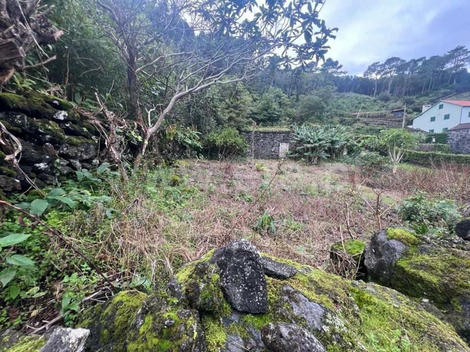 Helårsgrund i Sao Roque do Pico, Pico - foto 4