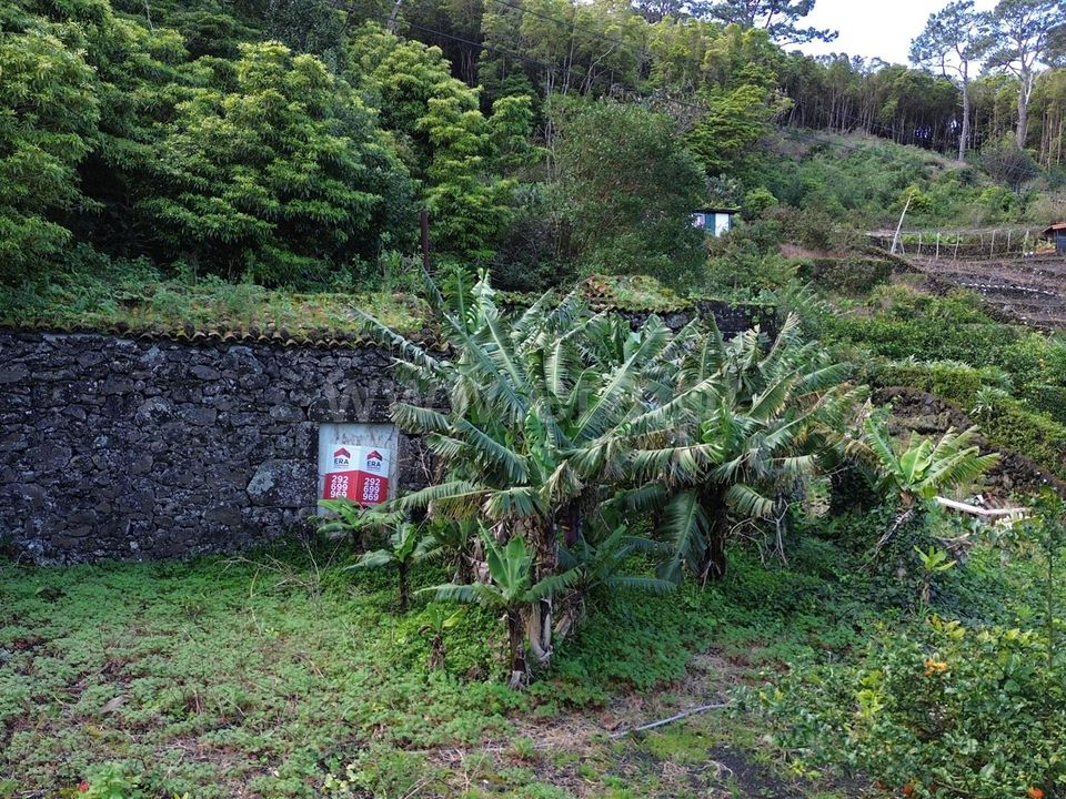 Helårsgrund i Sao Roque do Pico, Pico - foto 5