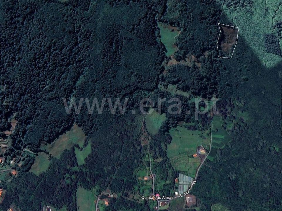 Helårsgrund i Sao Roque do Pico, Pico - foto 2