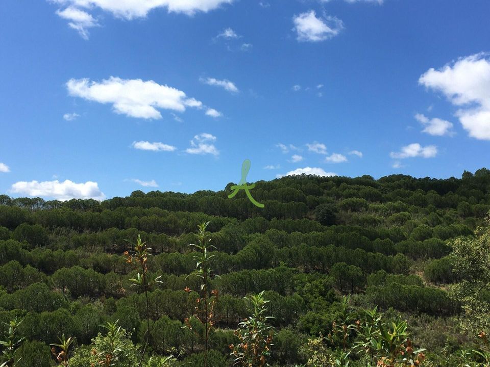 Helårsgrund i Silves, Faro - foto 1
