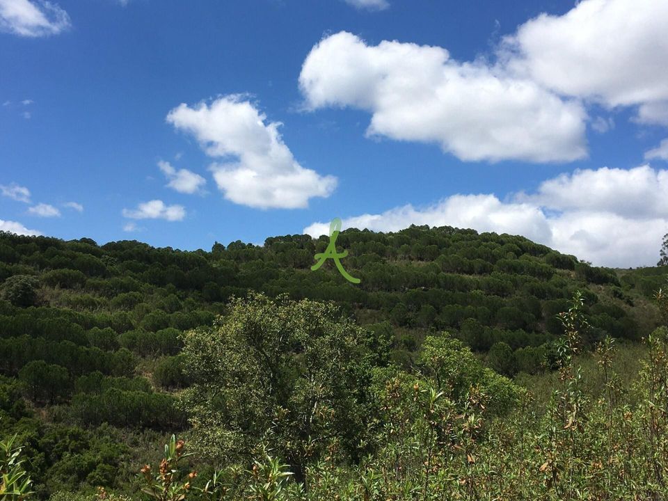 Helårsgrund i Silves, Faro - foto 3