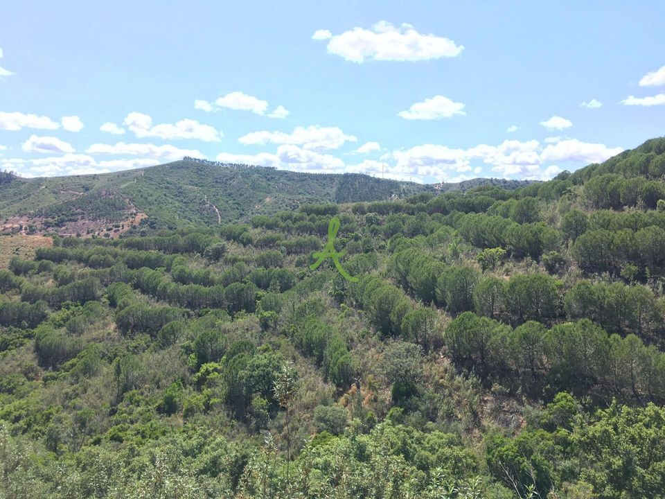 Helårsgrund i Silves, Faro - foto 5
