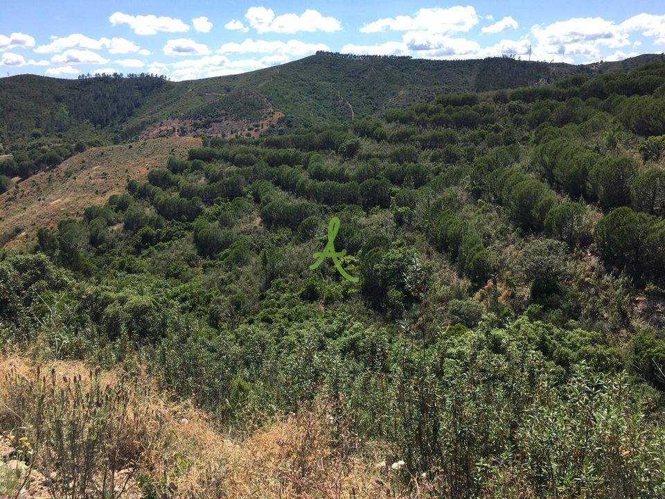 Helårsgrund i Silves, Faro - foto 4