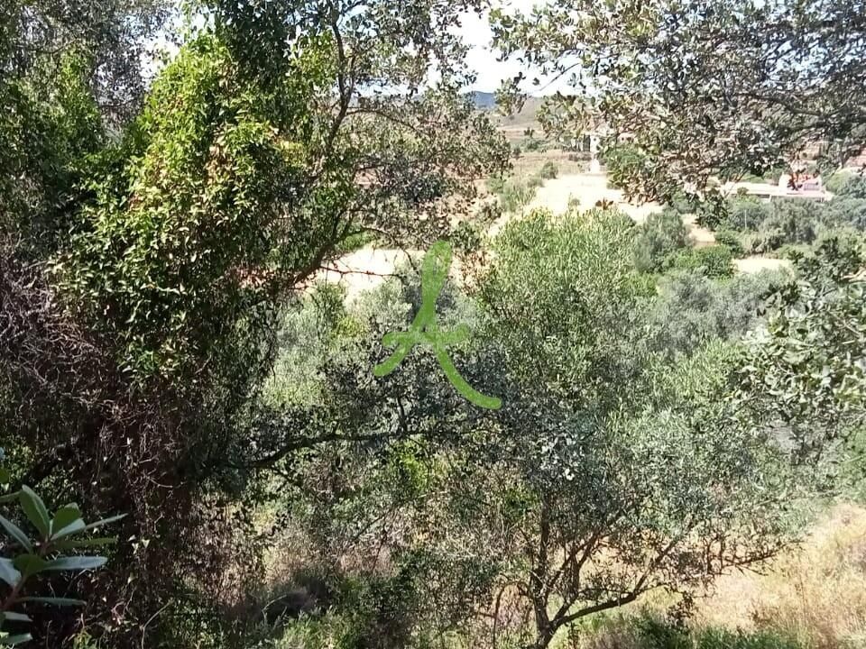 Helårsgrund i Silves, Faro - foto 4