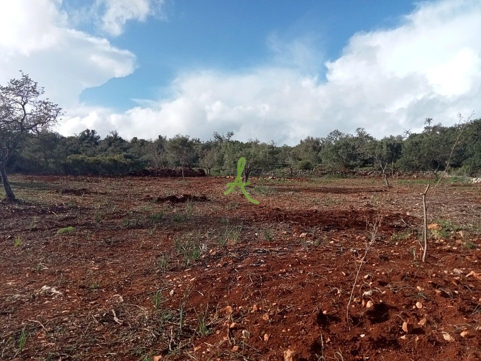 Helårsgrund i Silves, Faro - foto 1