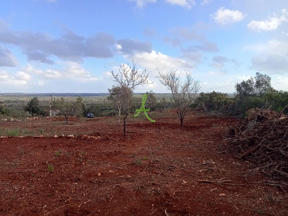 Helårsgrund i Silves, Faro - foto 3