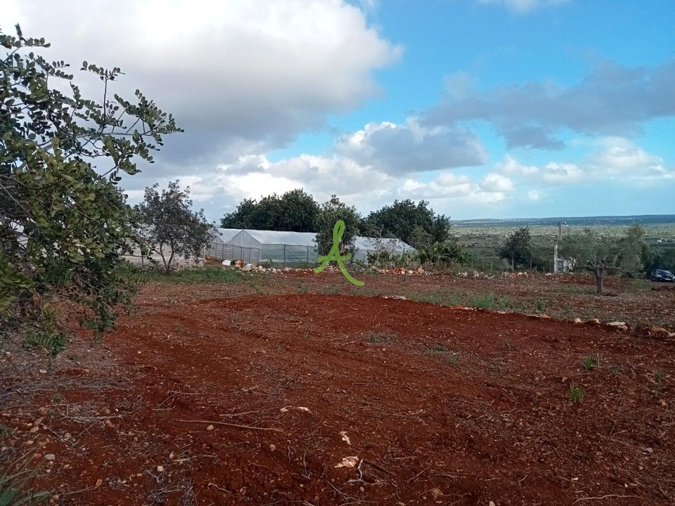 Helårsgrund i Silves, Faro - foto 2