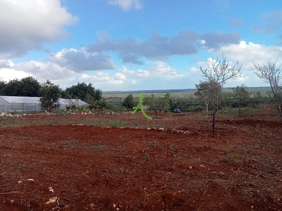 Helårsgrund i Silves, Faro - foto 4