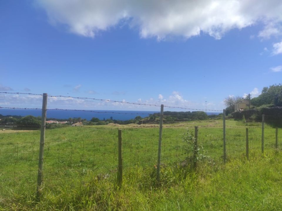 Helårsgrund i Sao Roque, Madeira - foto 4