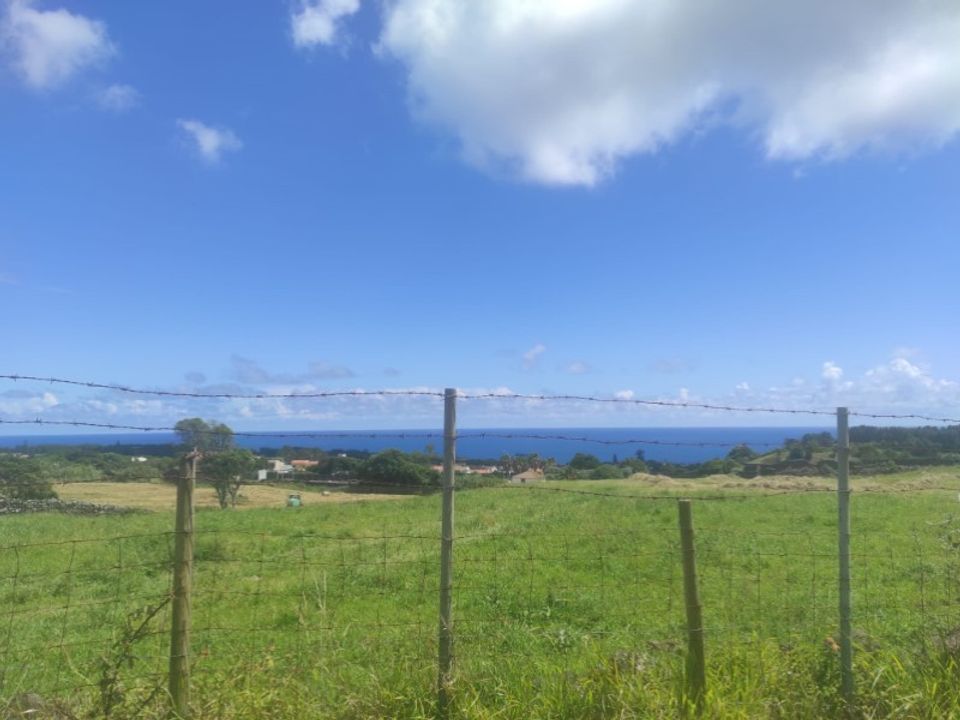 Helårsgrund i Sao Roque, Madeira - foto 5