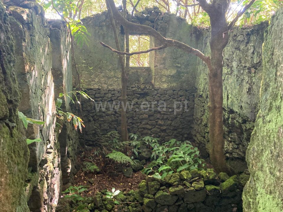 Helårsgrund i Lajes do Pico, Pico - foto 4