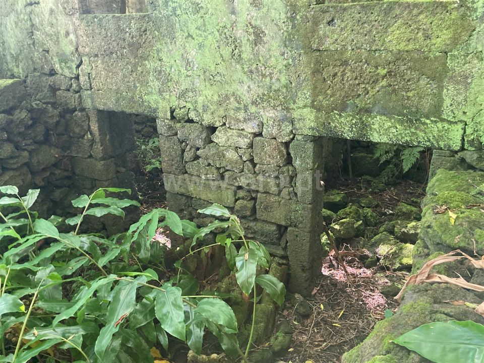 Helårsgrund i Lajes do Pico, Pico - foto 5