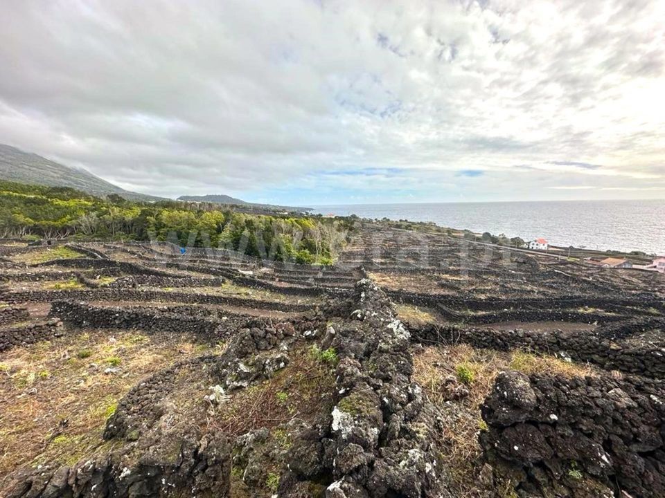 Helårsgrund i Madalena, Pico - foto 1