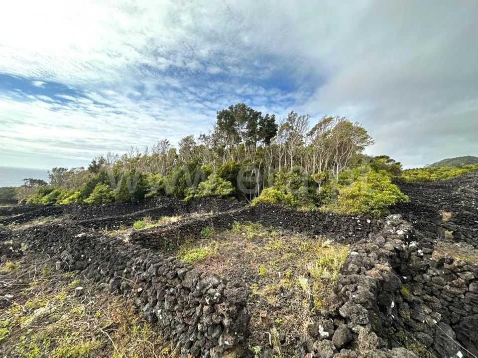 Helårsgrund i Madalena, Pico - foto 3