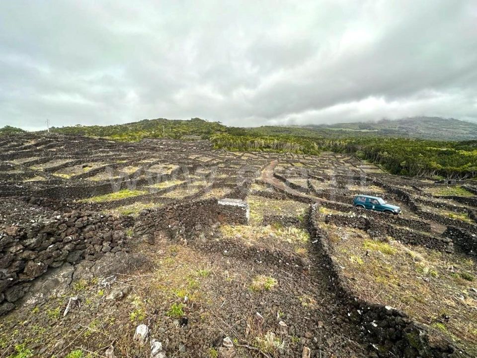 Helårsgrund i Madalena, Pico - foto 4