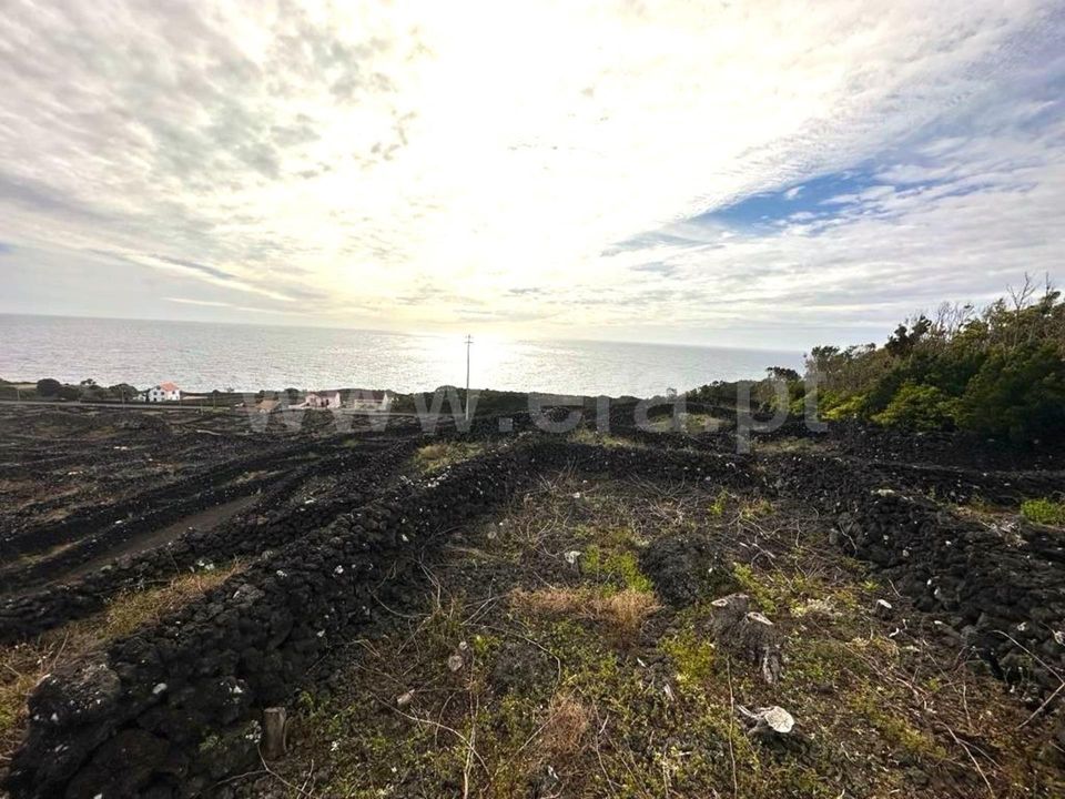 Helårsgrund i Madalena, Pico - foto 5