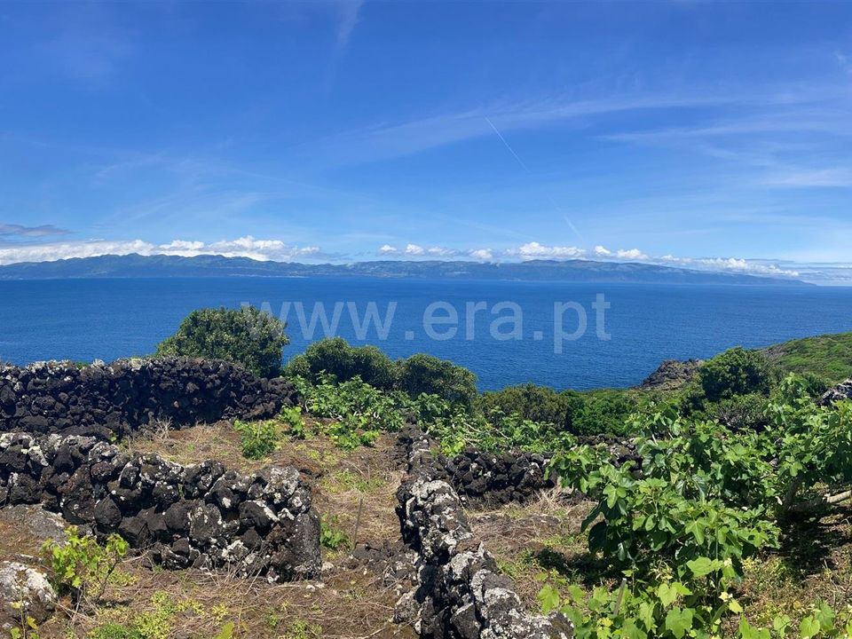 Helårsgrund i Lajes do Pico, Pico - foto 4