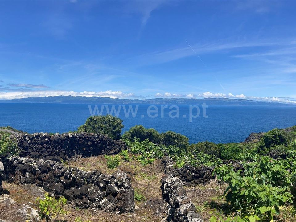 Helårsgrund i Lajes do Pico, Pico - foto 5