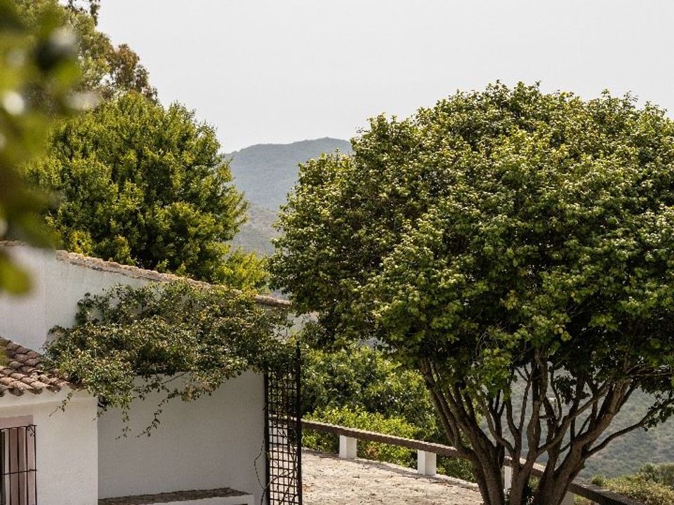 Finca i Tarifa, Cadiz - foto 5
