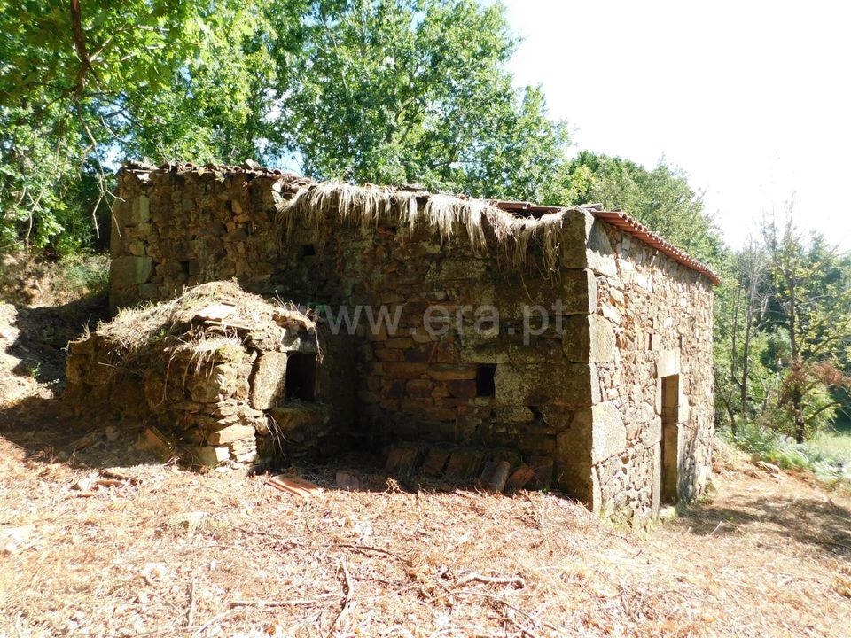 Tomt i Seia, Guarda - bilde 4