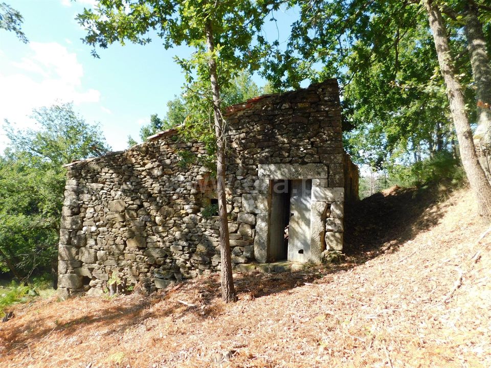 Tomt i Seia, Guarda - bilde 1