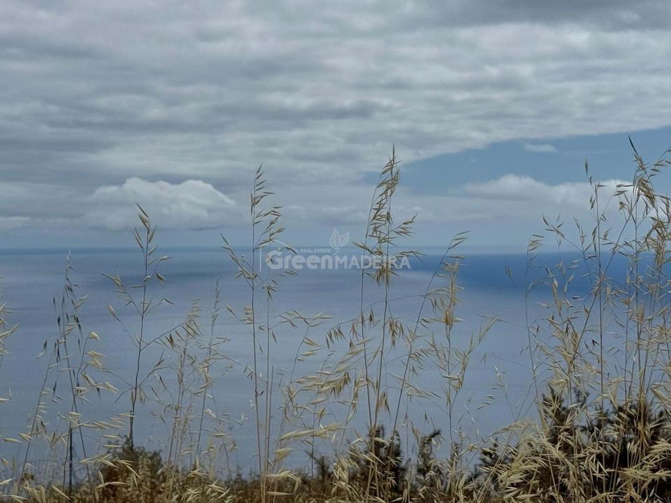 Helårsgrund i Calheta, Madeira - foto 1