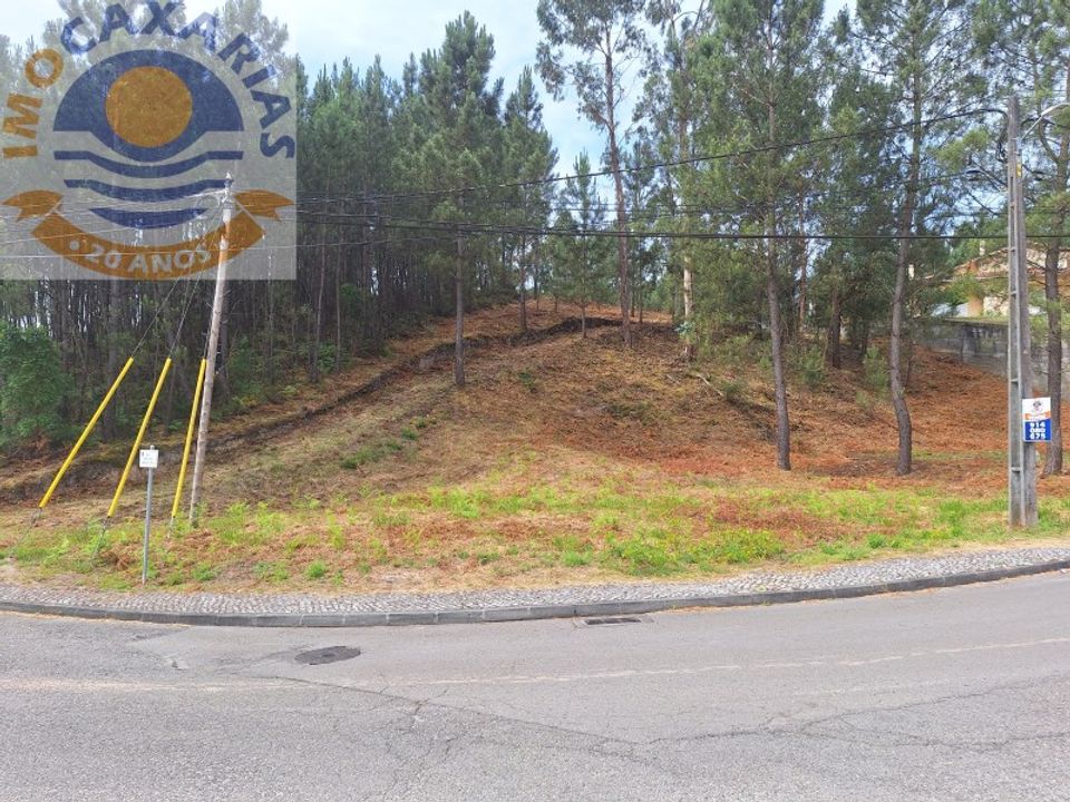 Helårsgrund i Ourem, Santarem - foto 5