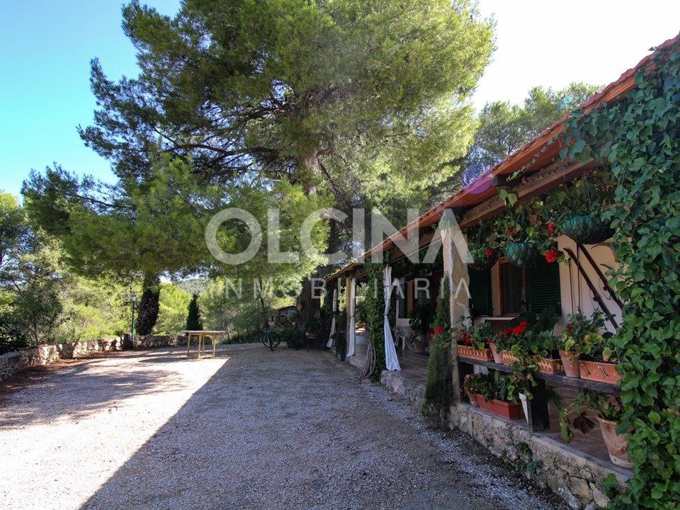 Landejendom i Ibi, Alicante - foto 3