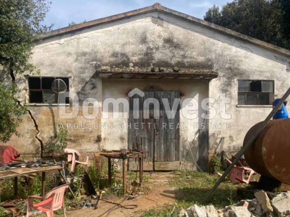 Landejendom i Capalbio, Grosseto - foto 2
