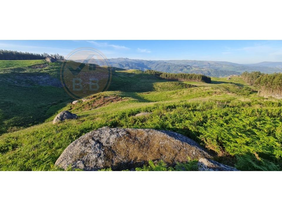 Tomt i Cabeceiras de Basto, Braga - bilde 4