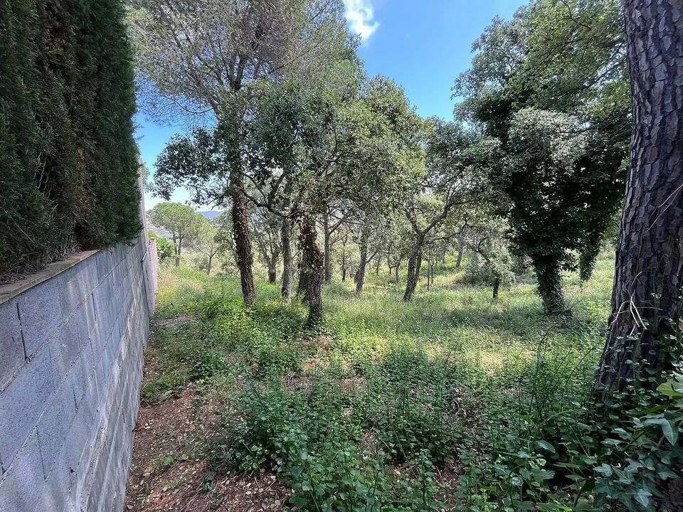 Helårsgrund i Calonge, Gerona - foto 4