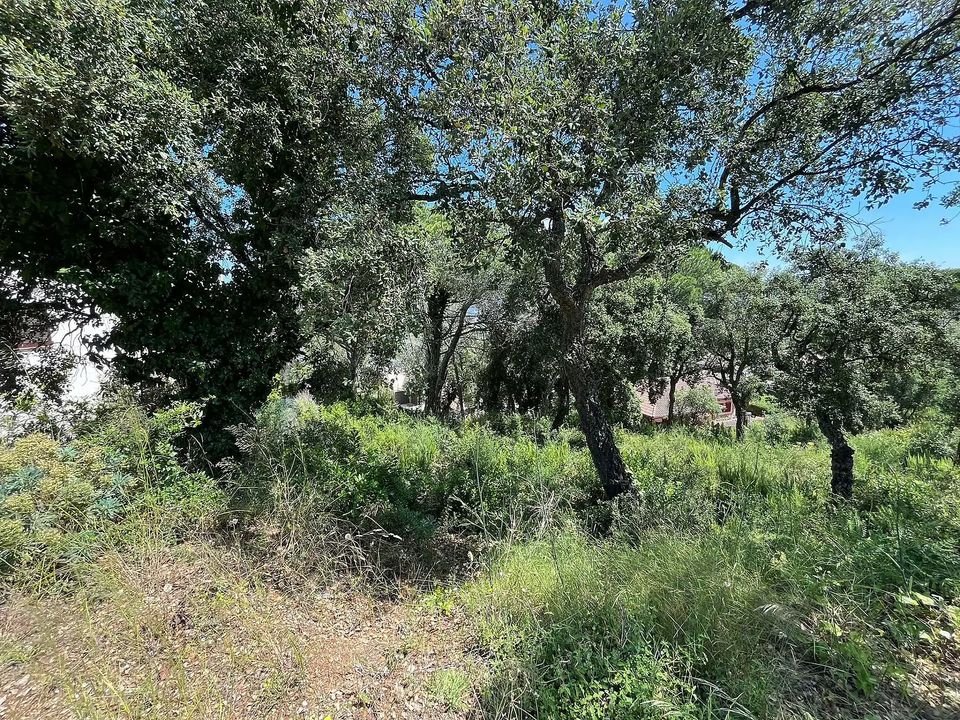 Helårsgrund i Calonge, Gerona - foto 2