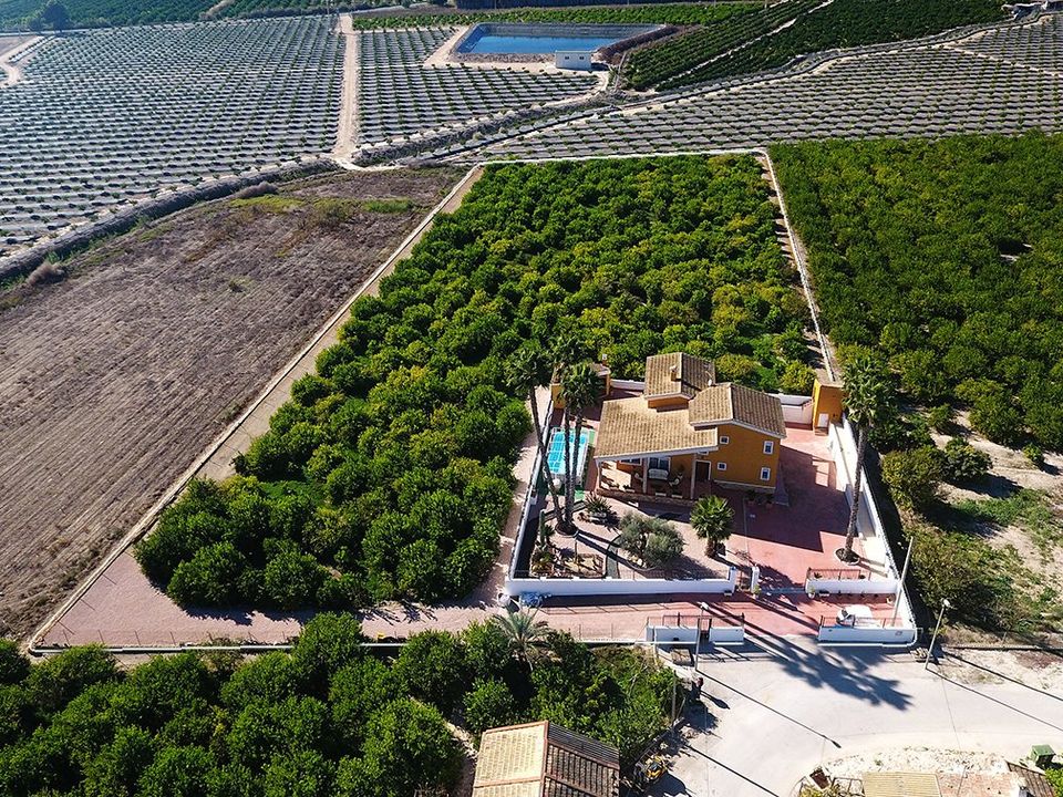 Landejendom i Orihuela, Alicante - foto 5